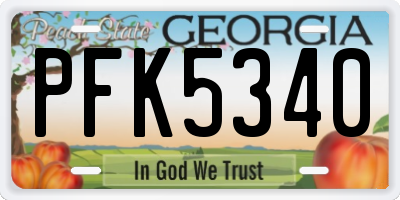 GA license plate PFK5340