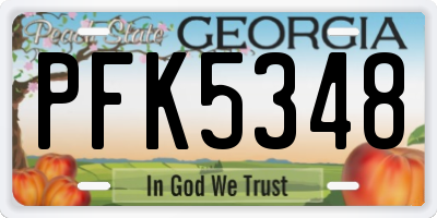 GA license plate PFK5348