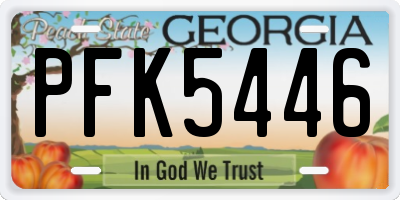 GA license plate PFK5446