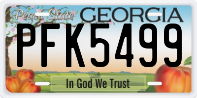 GA license plate PFK5499