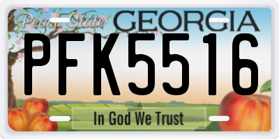 GA license plate PFK5516