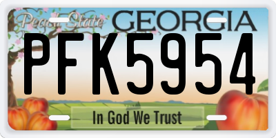 GA license plate PFK5954