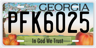 GA license plate PFK6025