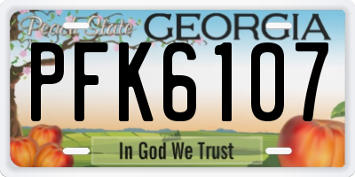 GA license plate PFK6107
