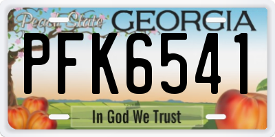 GA license plate PFK6541