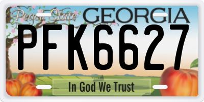 GA license plate PFK6627