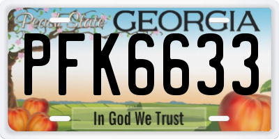 GA license plate PFK6633