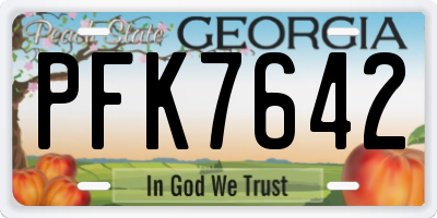 GA license plate PFK7642