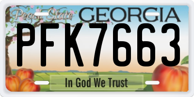 GA license plate PFK7663