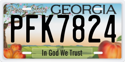 GA license plate PFK7824
