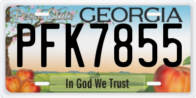 GA license plate PFK7855