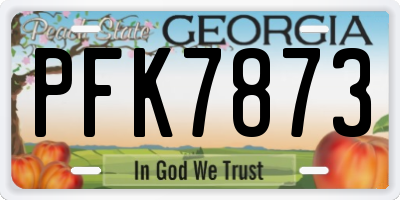 GA license plate PFK7873