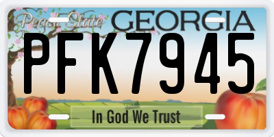 GA license plate PFK7945