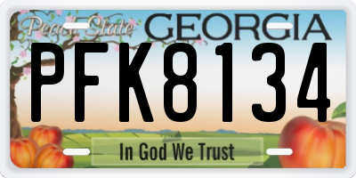 GA license plate PFK8134
