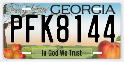 GA license plate PFK8144