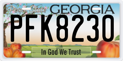 GA license plate PFK8230