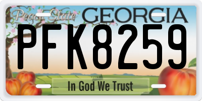 GA license plate PFK8259