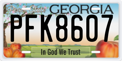 GA license plate PFK8607