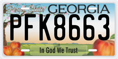 GA license plate PFK8663