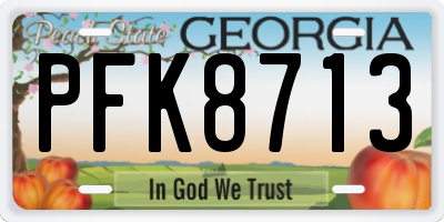 GA license plate PFK8713