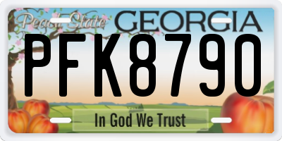 GA license plate PFK8790