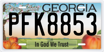GA license plate PFK8853