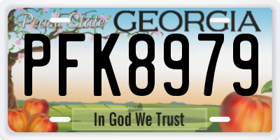 GA license plate PFK8979