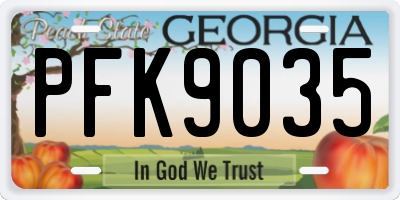 GA license plate PFK9035