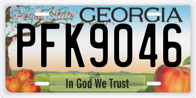 GA license plate PFK9046