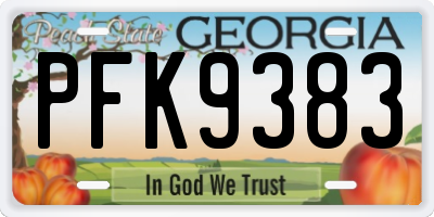 GA license plate PFK9383