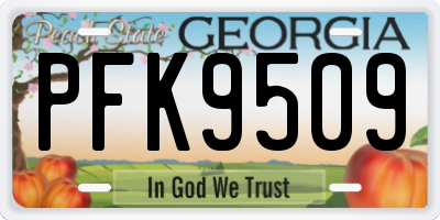 GA license plate PFK9509