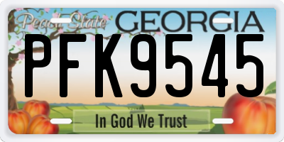GA license plate PFK9545