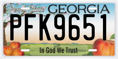 GA license plate PFK9651