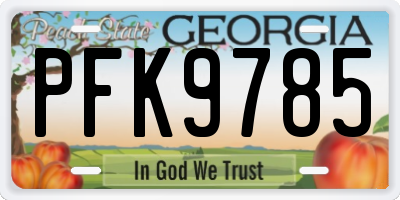 GA license plate PFK9785