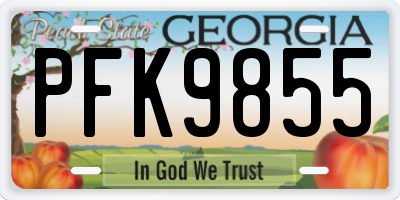 GA license plate PFK9855