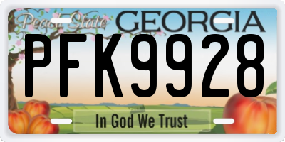 GA license plate PFK9928