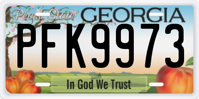 GA license plate PFK9973