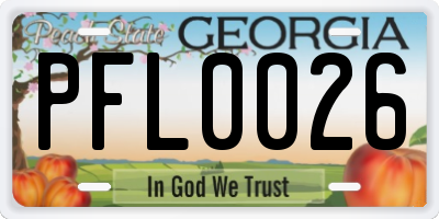 GA license plate PFL0026