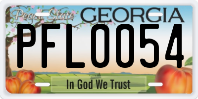 GA license plate PFL0054