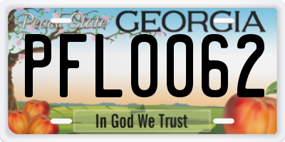 GA license plate PFL0062