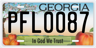 GA license plate PFL0087