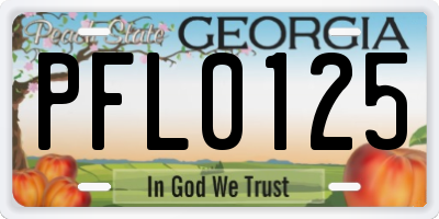 GA license plate PFL0125