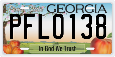 GA license plate PFL0138