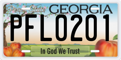 GA license plate PFL0201