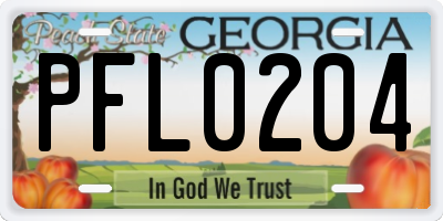GA license plate PFL0204