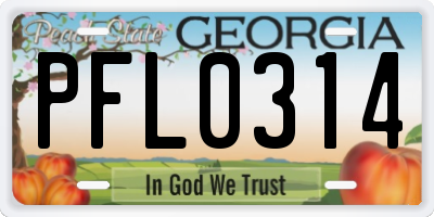 GA license plate PFL0314