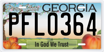 GA license plate PFL0364