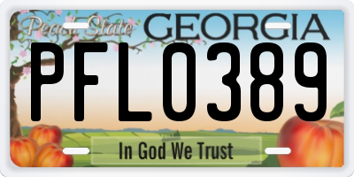 GA license plate PFL0389