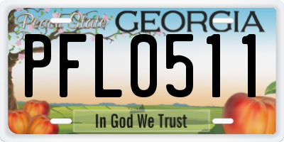 GA license plate PFL0511
