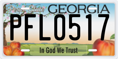GA license plate PFL0517